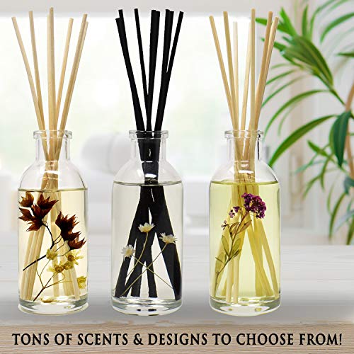 Coconut Breeze Reed Diffuser Oil Set with Reed Sticks – Warm Coconut, Pineapple and Tahitian Vanilla - Made in The USA - color: Coconut Breeze