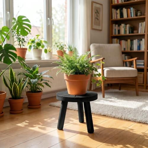 Wood Plant Stands 3-Pack Indoor, Plant Stool, Black | Premium carbonized pine with moisture-resistant, burr-free finish, Snap together in 60 seconds, no tools needed - color: Black, size: 3-Pack