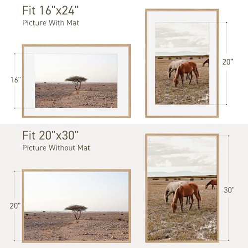 20x30 Poster Frame Set of 2 Natural Solid Oak Photo Frames with 16x24 Removable Mat Wall Hanging Large Handcrafted Frame with HD Plexiglass Wall and Tabletop Display Large Picture Frame - color: Oak, size: 20X30,2P
