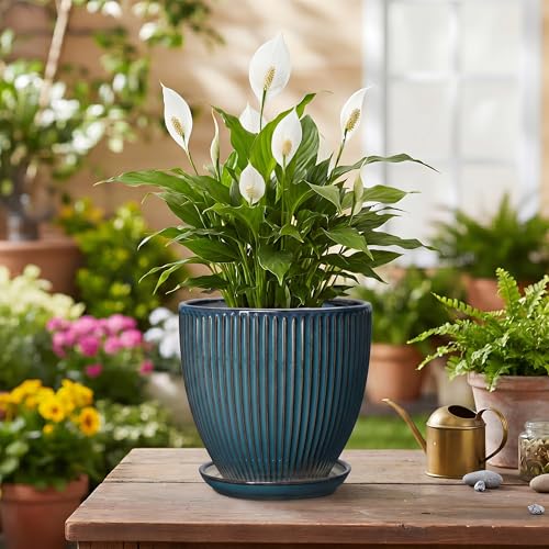 6 Inch Plant Pot, Ceramic Flower Pots for Indoor Plants, Round Planters with Drainage Hole and Saucer, Decorative Small Modern Flower Pots, Home Room Decor, House Warming Gifts, Retro Blue - size: 6 Inch, style: Retro