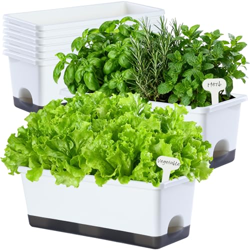 Window Box Planter 8 Pcs, 17 Inches Rectangle Flower Pots with Drainage Holes & Trays, Vegetable Planters for Windowsill Patio Garden Balcony Home Indoor Outdoor (White, 16 * 7 * 6 inch) - color: White