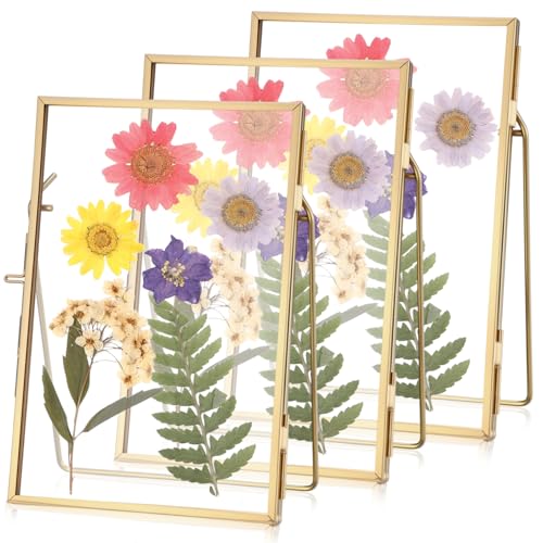 3 Pack Glass Pressed Flower Frame Handmade, 4 x 6 floating Picture Frames for Pressed Flowers, Brass Double Glass for Tabletop Display, Home Office Plant Specimen, Photos(Gold) - color: Gold, size: 4 x 6 Inches