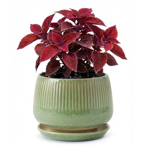7.5 Inch Ceramic Planter with Saucer,Modern Garden Pots with Drainage Hole Mesh Net, for Indoor Outdoor Use (Crackle Green) - color: Crackle Green, size: 7.5 Inch