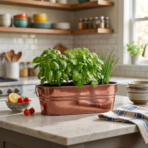 Buzzy Seeds Organic Windowsill Herb Kit - Metal Windowsill Planter - Complete Indoor Gardening Kit with Seeds, Coconut Husk Growing Medium & Genuine Pots - 100% Grow Guarantee - color: Culinary Garden