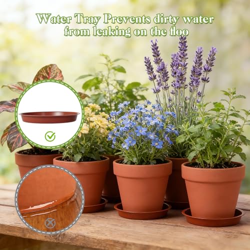 KOAMLY 6 PCS Clay pots and Plates, 5-inch red Clay pots with Drainage, Perfect for Indoor, windowsill, and Garden Plants