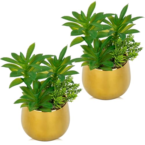 Briful Artificial Succulents Plants in Ceramic Pots, 2 Pack Faux Succulent Set with Gold Planters – Modern Desk Decor for Home Office Shelf Bathroom, Small Fake Plants Potted - color: Gold# 2pcs