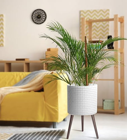 D'vine Dev Planter Pot with Wood Stand, 14 in, Matte White, 88-Z-D-1 | Mid-Century Modern Style, Elevated Plant Display, Drainage Hole and Plug, Functional & Stylish, Modern Indoor Planter - color: Matte White, size: X-Large