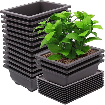 15 PCS 8.8 Inch Bonsai Training Pots, Bonsai Tree Growing Pots with 15 Drainage Trays, Plastic Bonsai Planter for Garden, Yard, Office, Porch, Balcony, Home Decoration - size: 8.8 Inch