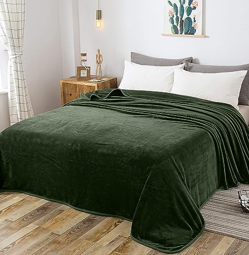 Fleece Blanket Twin Size 350GSM Lightweight Throw for The Bed Extra Soft Brush Fabric Super Warm Sofa Blanket 66" x 90"(Green Twin) - color: Green, size: Twin (90-Inch-by-66-Inch)