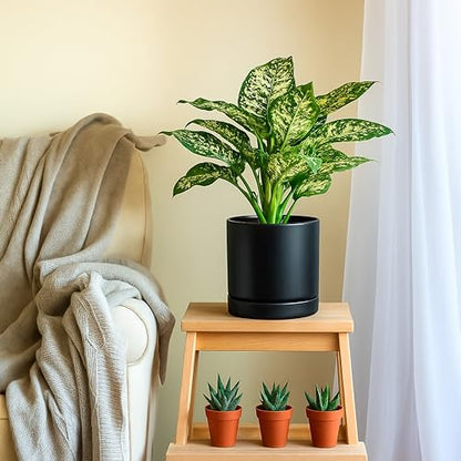 D'vine Dev 8.2 Inch Ceramic Planter Pot, Black, 94-O-D-2 | Modern Cylinder Design, Drainage Hole & Saucer Included, Stable Structure, Elegant Home Accent - color: Black, size: Medium