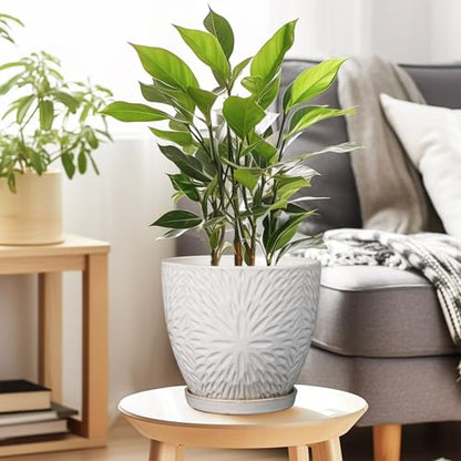 G EPGardening 8 Inch Ceramic Plant Pot with Drainage Hole and Saucer Round Planter Pot for Indoor Outdoor Plants Modern Large Flower Pot White - size: 8 Inch