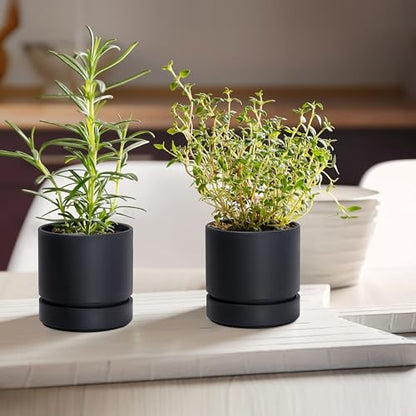 Phoenix Vine 4 Inch Planter Pot with Drainage Hole & Saucer, Deep Water Catch Tray, Straight Cylindrical Round Pot for Plants, Matte Black, Pack of 2, 23-C-R-2 - color: Matte Black, size: 4" (2 Pack)