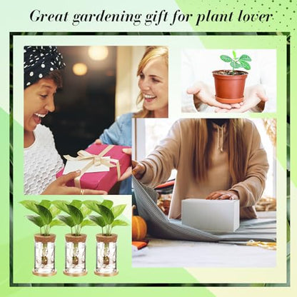 9 Packs Propagation Vases for Plants Plastic Plant Propagation Station with Hole Lid and Bamboo Stand Growing in Water Hydroponic Home Office Table Decoration(Classic Style) - style: Classic