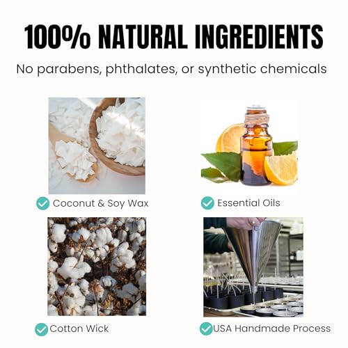 Go Candles Premium Scented Candle Gift Set | 3 Aromatherapy Candles | Natural Coconut Soy Wax | Clean Burning | Hand-Poured in USA | Luxury Home Fragrance | Citrus, Herbal & Earthy Scents