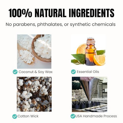 Go Candles Premium Scented Candle Gift Set | 3 Aromatherapy Candles | Natural Coconut Soy Wax | Clean Burning | Hand-Poured in USA | Luxury Home Fragrance | Citrus, Herbal & Earthy Scents