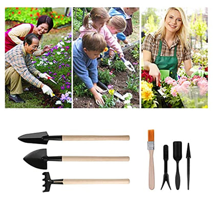 Haofy 13PCS Mini Gardening Tools Set for Succulents Planting Transplanting Tool Kit with Stainless Steel Scissor Tweezers Brush for Bonsai Indoor Plants