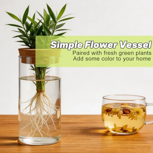 6 PCS Glass Plant Propagation Station for Plants Set Desktop Hydroponic Vases for Succulent Cuttings, Home Office Decoration, Desktop Planter Jars Being Able to Clearly See How Roots Develop