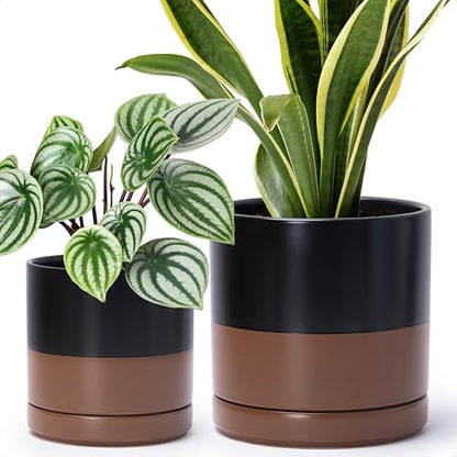 D'vine Dev 2-Pack Ceramic Pots with Saucers, 6/8 in, Black/Tan, 94-G-M-7 | Glazed Ceramic, Drainage Hole, Perfect-Fit Saucer, Sleek Cylinder Shape, High Temperature Fired, Elegant Home Accent - color: Black/Speckled Tan, size: Medium