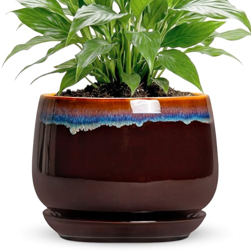 Ceramic Planter - 7 Inch Plant Pots with Drainage Hole and Saucer, Decorative Pots for Indoor Plants, Round Rustic Flower Pot, Office Home Decor, Gifts for Plant Lovers Women, Brown-Blue - size: 7 Inch, style: Brown-blue