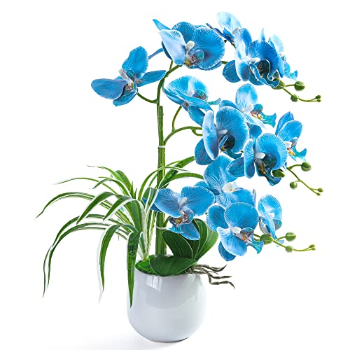 W&W Artificial Orchid Plants and Flowers with Vase, Fake Faux Orchid in Ceramic Pot,19”, Blue - color: Blue 01