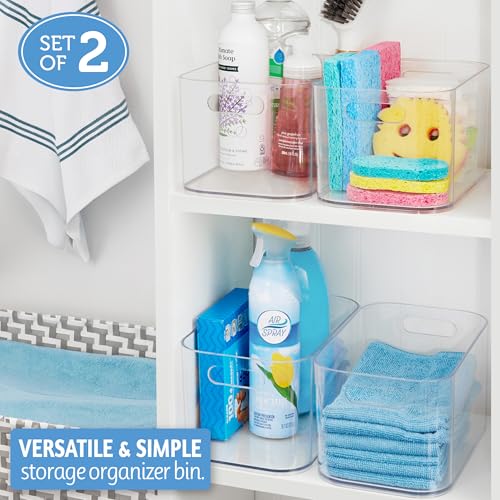 STORi Bliss 10" x 6" Open Clear Pantry Organizer Bin, Set of 2, Plastic Containers with Handle for Kitchen, Fridge, Cabinet, Closet, Bathrom, Undersink Storage Made in USA - style: Set of 2