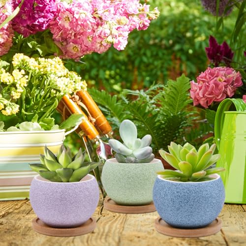 6 Pack Ceramic Succulent Pots with Drainage – Small Round Planters for Indoor Plants & Cactus, Mini Flower Pots with Bamboo Trays, Desk & Home Décor, Gift for Plant Lovers, Office, Balcony, Garden - style: Round