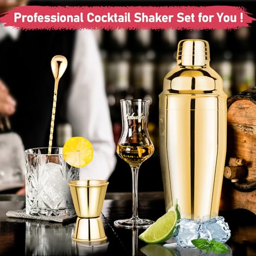 24oz Cocktail Shaker Set Martini Shaker Set Bartender Set | Professional 18/8 Stainless Steel Bar Tools with Margarita Mixer Drink Shaker, Measuring Jigger and Mixing Spoon (Gold) - color: Gold