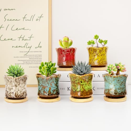 Succulent Pots with Drainage Tray, Cute Ceramic Pots for Plants Set of 6 - color: 2.8"colorful - 6pcs