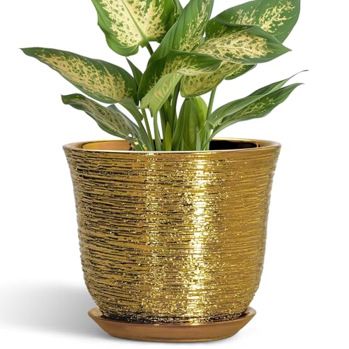 5.6 Inch Plant Pot - Ceramic Planter for Indoor Outdoor, Round Succulent Orchid Pot with Drainage Hole and Plant Saucer, Modern Decorative Planters, Living Room Decor, Gifts for Women, Gold - color: Gold, size: 6 Inch