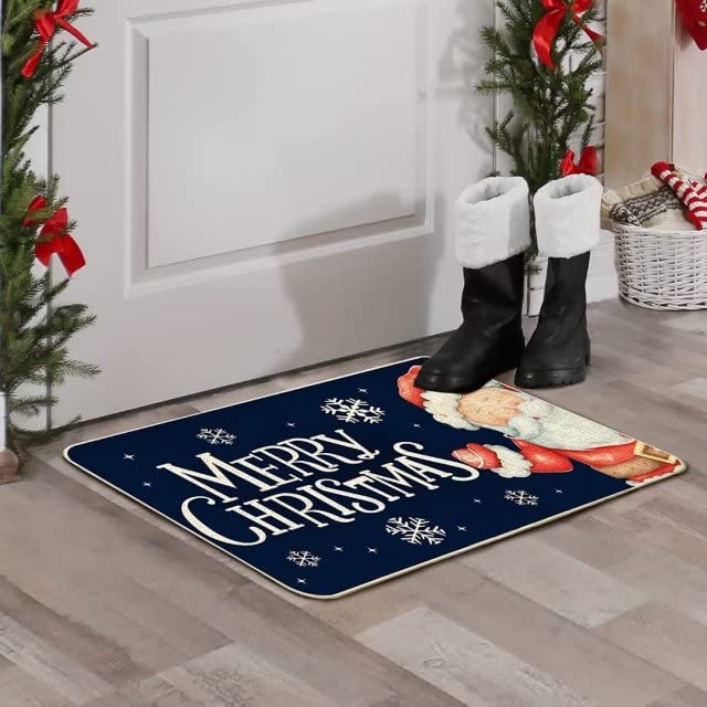 Funny Non Slip Entrance Floor Mat - 16x24 Inch Indoor Decorative Doormat