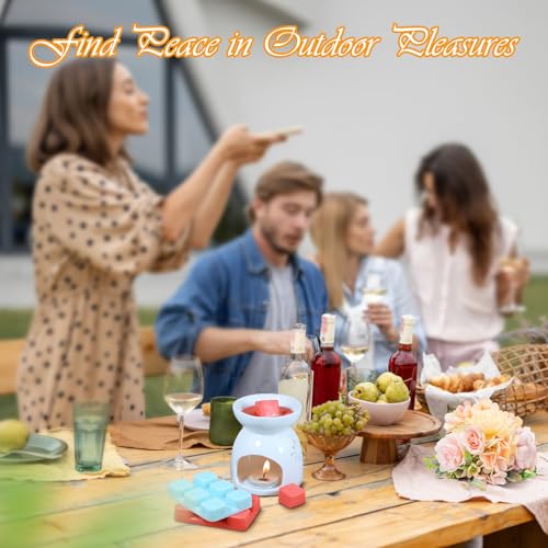 Wax Melts, Scented Wax Cubes Strong Scent, 6 Pack | Summer Scents Soy Wax for Wax Warmer - Pineapple, Watermelon, Strawberry, Mango, Passion Fruit, Mint - size: 6 Pack Fruit Series