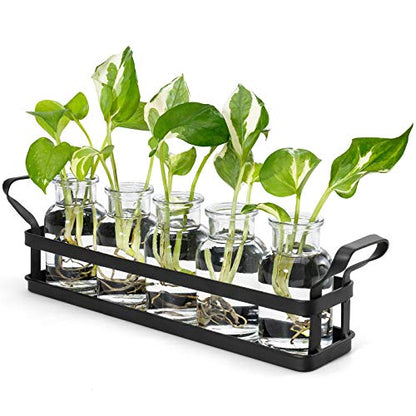 Mkono Propagation Stations, 5 Jars Desktop Glass Plant Terrarium with Stand | Flower Vase, Hydroponic Cuttings, Easy Water Refill,Clear Root View Planter,Farmhouse Home Office Decor, Gardening Lover Gift - size: Large