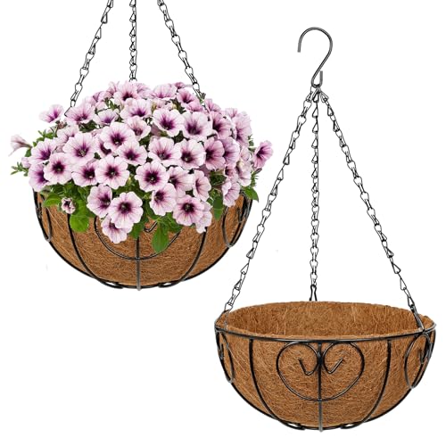 10 inch Metal Hanging Baskets for Plants Outdoor, 2 Pack Metal Wire Hanging Basket Planter with Coco Liner Flower Pots for Indoor Outdoor Garden Porch Patio, Heart-Shaped - size: 10" x 2 Pack, style: Heart