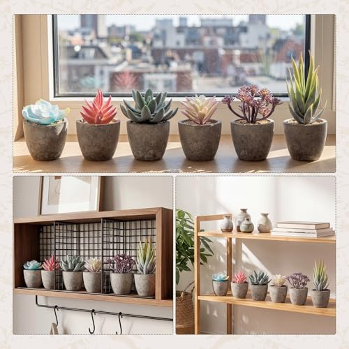 Set of 6 Artificial Succulents Potted - Realistic Mini Fake Cactus Plants in Paper Pulp Pots, 2-4'' Mixed Sizes for Farmhouse Shelf, Bathroom, Coatrack Shelf, Bedroom Indoor(Vivid Style) - style: Vivid Style
