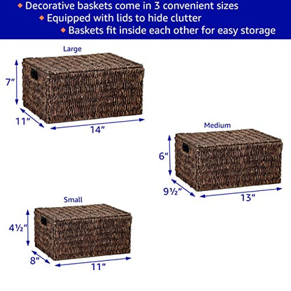 Trademark Innovations Set of 3 Rectangular Seagrass Baskets with Lids, Brown (Small) - color: Brown