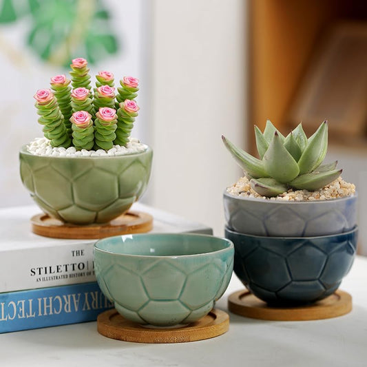YYW Ceramic Succulent Planter, 4 Pack Cute Garden Pots with Drainage and Attached Saucer - color: Light Ceramics