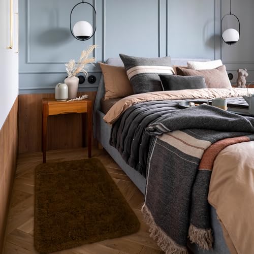 HOMORE Small Rugs for Bedroom 2x3 Feet Brown Rug for Bedside Living Room | Soft Fluffy Area Rugs for Desk Indoor Entrance Door Mat, Small Runner Rugs and Carpets for Dorm Nursery - color: Brown, size: 2' x 3' (Rectangular)