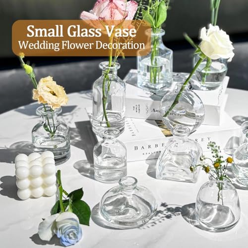 Mini Bud Vases As Wedding Centerpieces for Tables,Clear Bud Vases for Flowers,Small Flower Vases Suitable for Birthday Party,Anniversary,Wedding Reception,Baby Shower (Clear, 12 PCS) - color: 12pcs-2