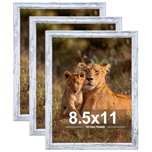 8.5x11in Picture Frame set of 3, Certificate Poster and Photo for Wall Hanging or Tabletop, 8.5x11 Rustic White frame with Shatter Resistant Plexiglass, best gift - color: Rustic White -3PCS, size: 8.5x11in