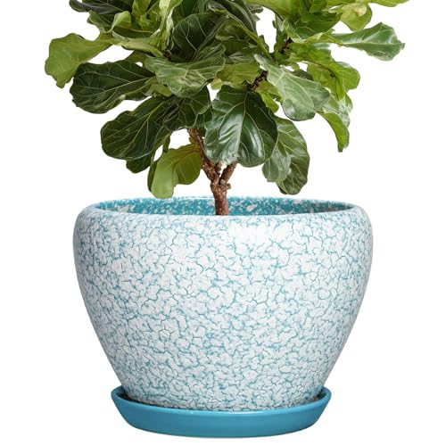 Ceramic Flower Pot, 10 Inch, Crackle Blue | Drainage Hole and Tray, Indoor Outdoor Use, Decorative Planter, Living Room Decor, Plant Lover Gift - color: Crackle Blue, size: 10 Inch
