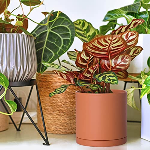 D'vine Dev 3-Pack Plastic Pots & Saucers, 4/5/6 in, Terracotta, 74-V-C-1 | Multi-Size Options, Lightweight Durable, Matte Finish, Cylinder Shape, Drainage Holes, Sleek Design, Detachable Saucer - color: Terracotta, size: Small
