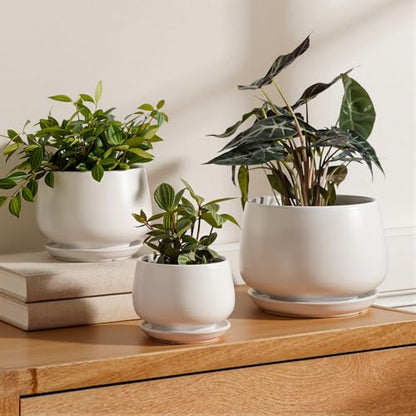 LE TAUCI Ceramic Plant Pots, 4.1+5.1+6.5 inch, Set of 3, Planters with Drainage Hole and Saucer, Indoor Flower Pot with Hole Mesh Pad, Gifts for Mom, White - color: White
