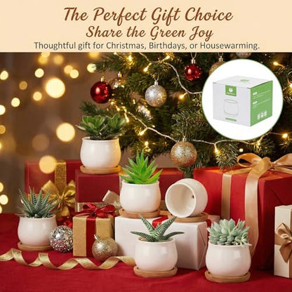 SHECIPIN Succulent Plant Pot, White Mini 2.6 inch Ceramic Flower Planter Pot with Bamboo Tray, Pack of 8 - Plants Not Included - color: White