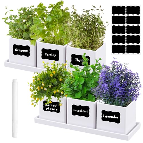 6 Pcs Herb Garden Planter Set Herb Garden Kit Indoor Plastic Plant Pots with Drainage and Saucer Succulent Cactus Vegetable Window Boxes Planter for Windowsill Indoor Outdoor Pots