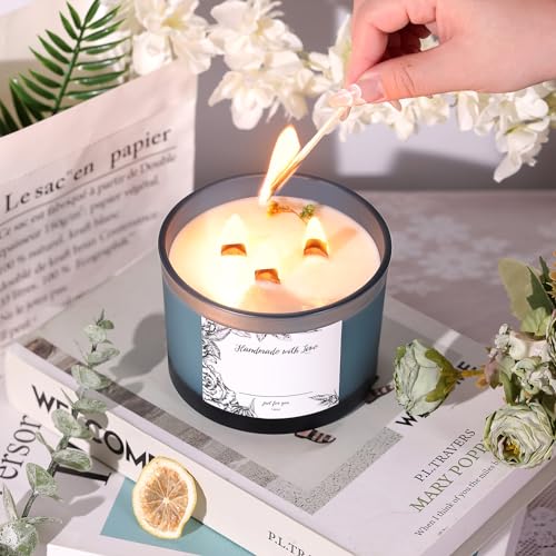 6 Pack Glass Candle Jars with Lids (16oz, Frosted Lake Blue) - Large Candle Jars for 3 Wick Candles Making - Empty Candle Jars Containers - Candle Making Accessories include 16Pcs Candle Labels - color: Frosted Lake Blue