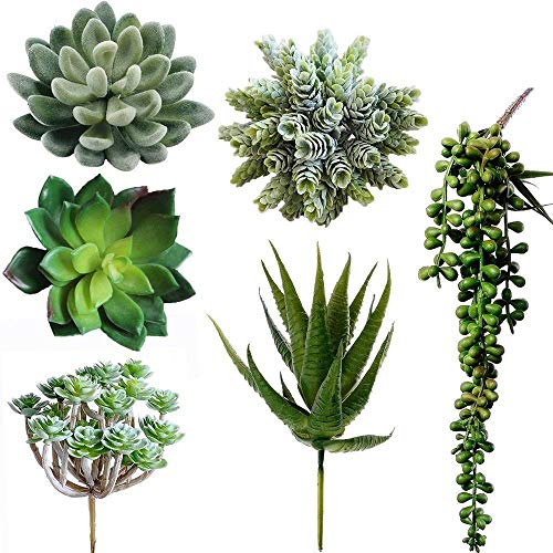 Winlyn 6 Pcs Unpotted Fake Succulents Assorted Faux Succulent in Different Green Artificial Hanging Succulents Textured Faux Succulent Pick Hanging String of Pearls Plant for Wedding Centerpieces