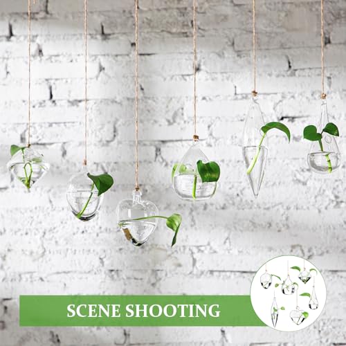Zopeal 6 Set Wall Hanging Glass Planter Terrarium Propagation Station Vase Container Watering Squeeze Bottle with Rope and Hook for Hydroponic Plants Flower Home Decor Gifts (Classic Style)