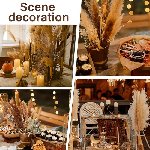 40 PCS Tall Pampas Grass for Floor Vase – 17" Natural Fluffy Dried Pampas Grass Stems, Large 20 White & 20 Brown Pоmpas Grass, Boho Pampas for Wedding, Home Decor, Halloween, Christmas