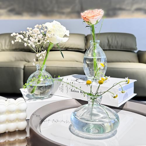 Mini Bud Vases As Wedding Centerpieces for Tables,Clear Bud Vases for Flowers,Small Flower Vases Suitable for Birthday Party,Anniversary,Wedding Reception,Baby Shower (Clear, 28PCS) - color: 28pcs