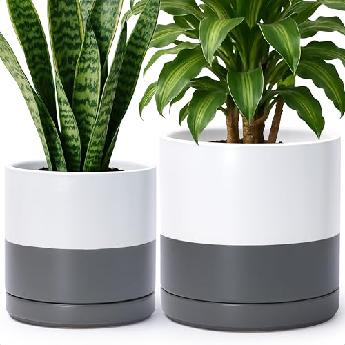 D'vine Dev 2-Pack Ceramic Pots with Saucers, 8/10 in, White/Grey, 94-G-L-6 | Glazed Ceramic, Drainage Hole, Perfect-Fit Saucer, Sleek Cylinder Shape, High Temperature Fired, Elegant Home Accent - color: White/Speckled Grey, size: Large